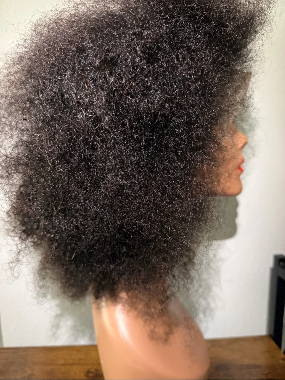 Natural Black Afro Lace Front Wig - Unbranded